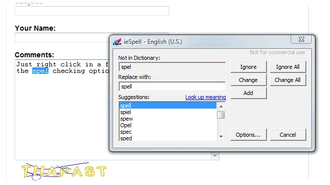 ieSpell ภาพหน้าจอ 2