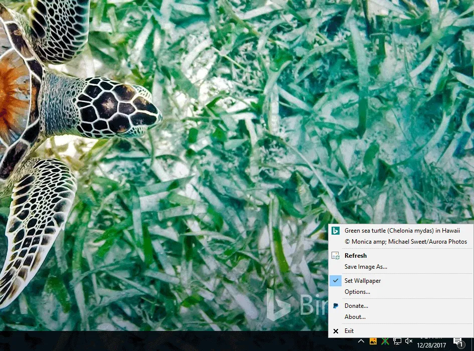 BingSnap ภาพหน้าจอ 1