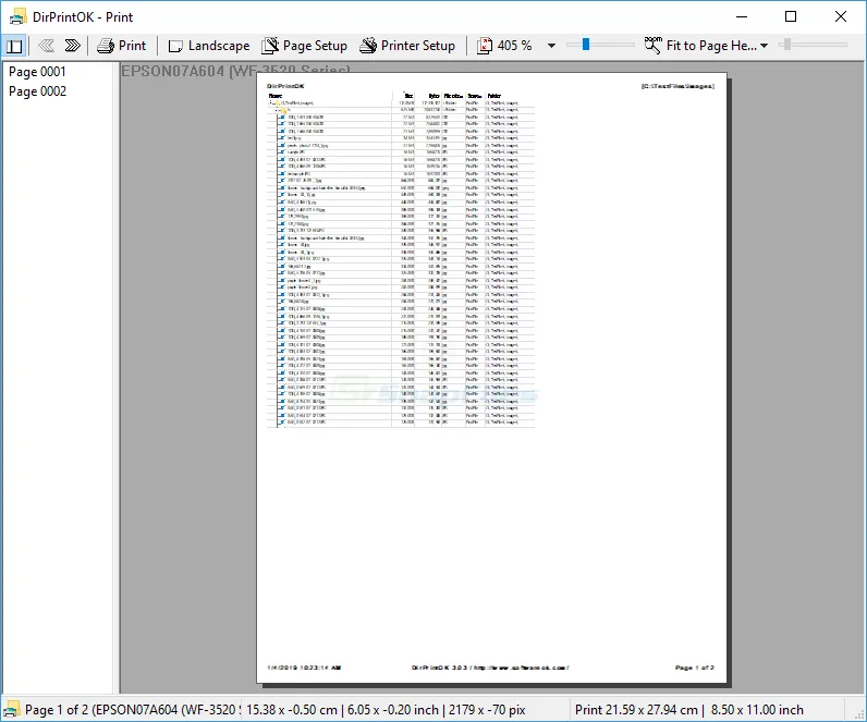 DirPrintOK ภาพหน้าจอ 2