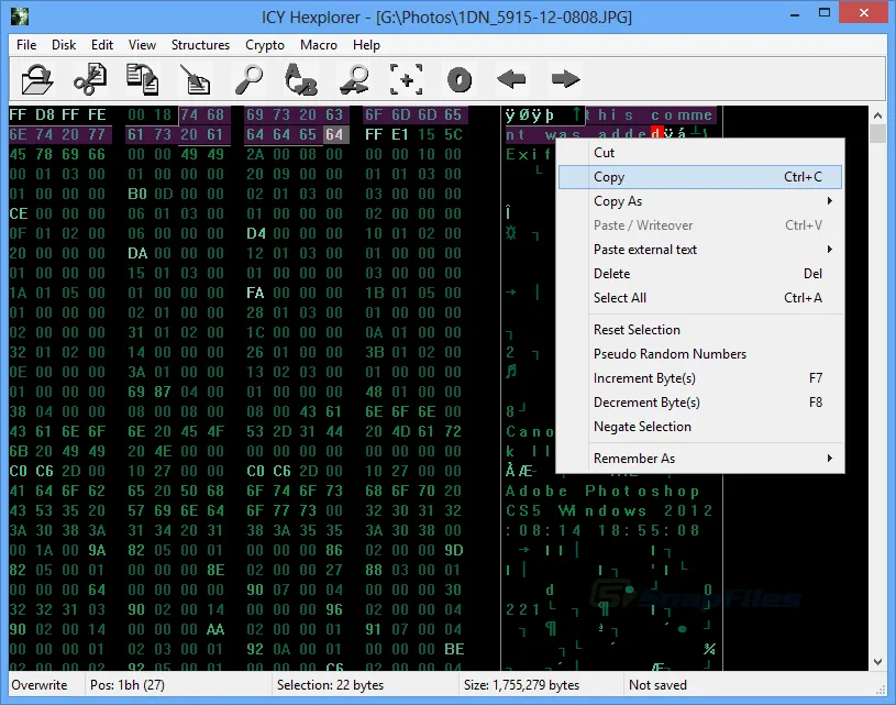 ICY Hexplorer ภาพหน้าจอ 1