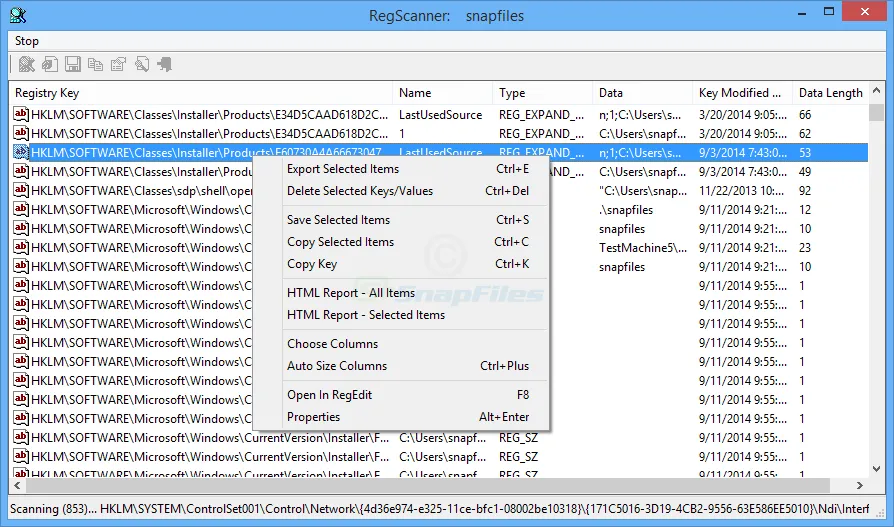 RegScanner ภาพหน้าจอ 1